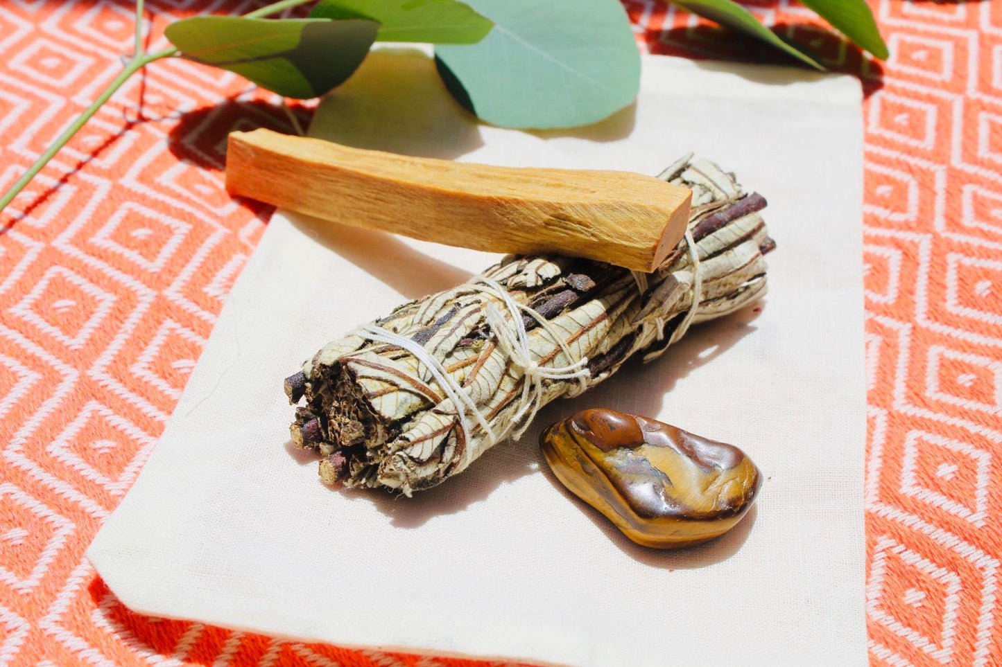 Cleanse Sage Kit