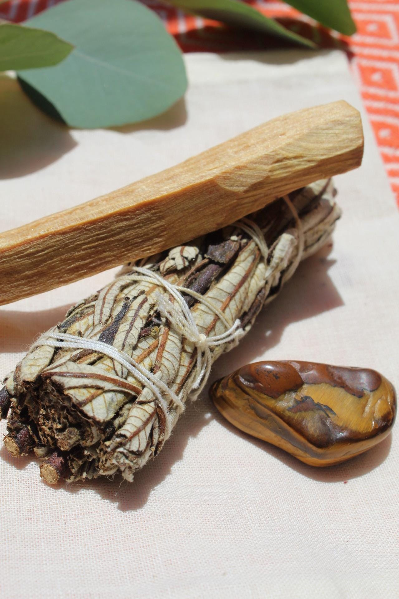 Cleanse Sage Kit